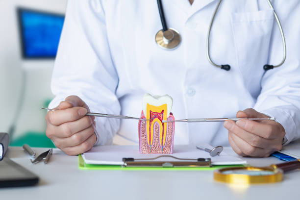 Best Emergency Orthodontic Repairs in Maiden, NC